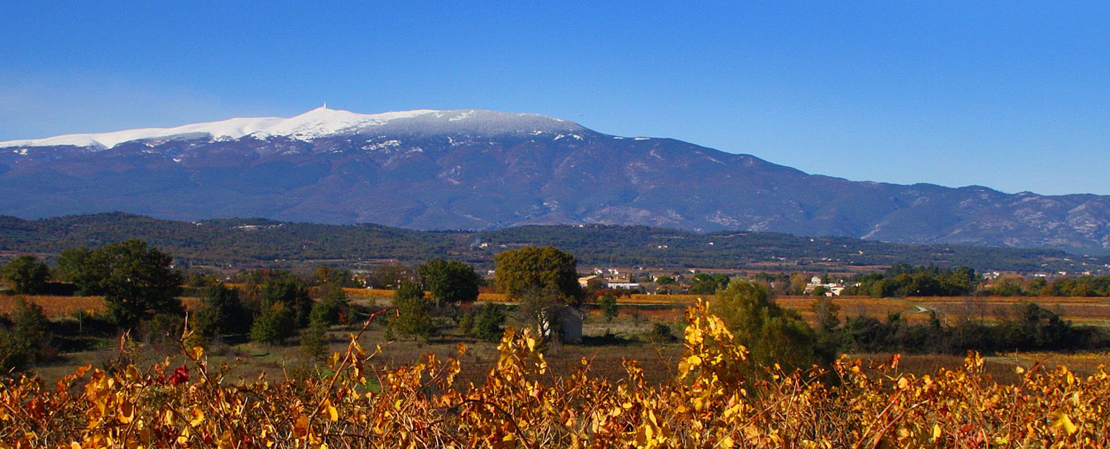 paysage