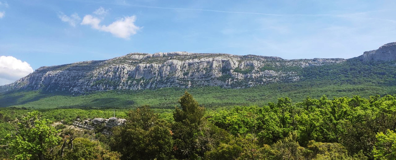 paysage