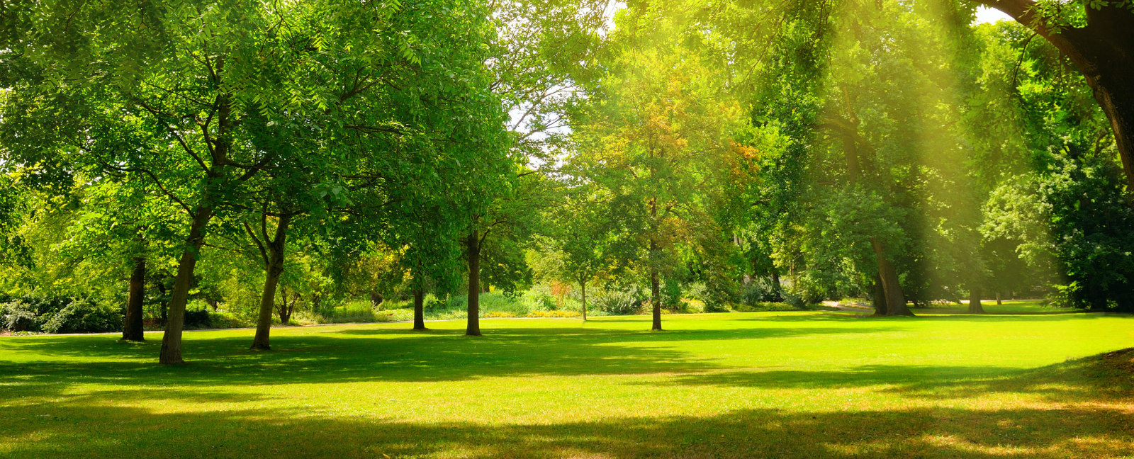 paysage