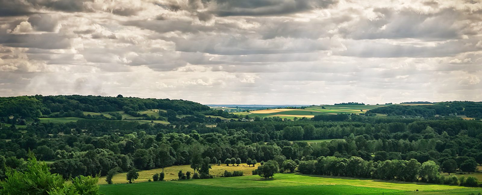 paysage
