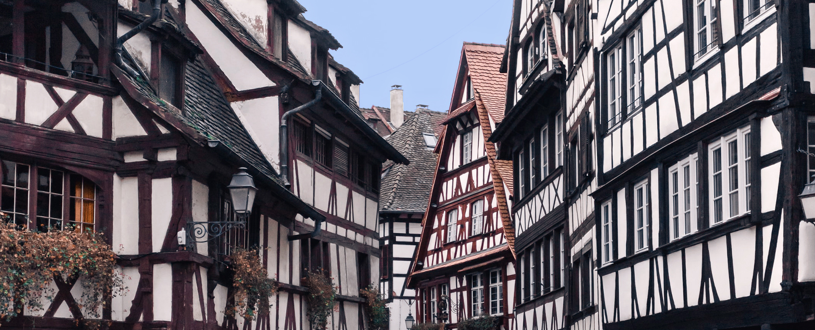 paysage_alsace