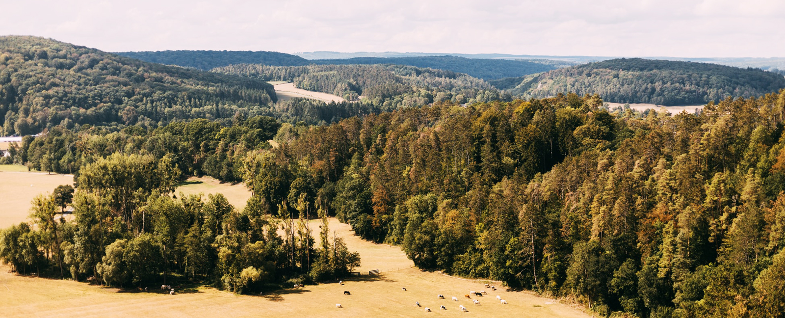 paysage