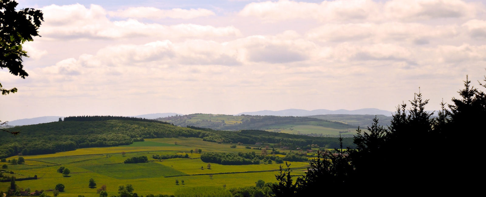 paysage